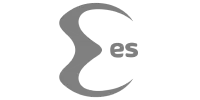Visa partner logo